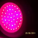 Светодиодные светильники LED GROW.