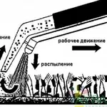 Профессиональная чистка ковров