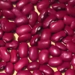 ТОВ Бінс Натур Продукт: сортова квасоля оптом