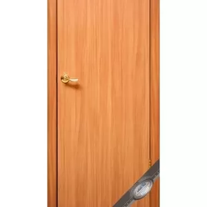 Прочная дверь Нового стиля