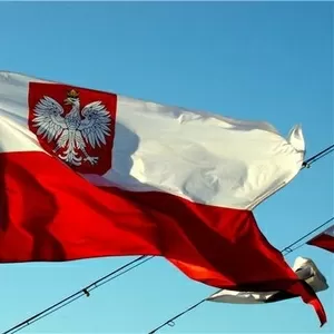 виза Польская (рабочая )