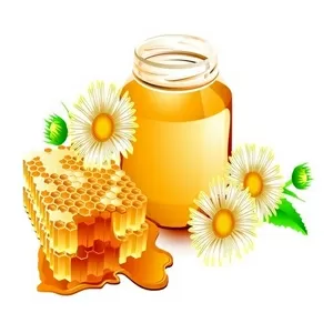 Скупаю мед