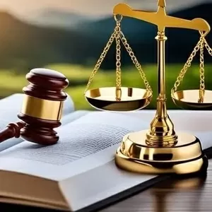 Юрист дистанційне розлучення Київ. Виноградар Адвокат