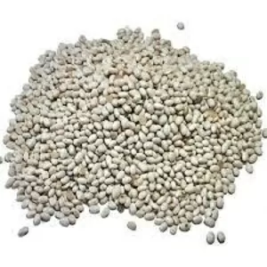 Насіння квасолі Червона Шапочка,  Неві Бінс,  Ред Кідні,  Пінто