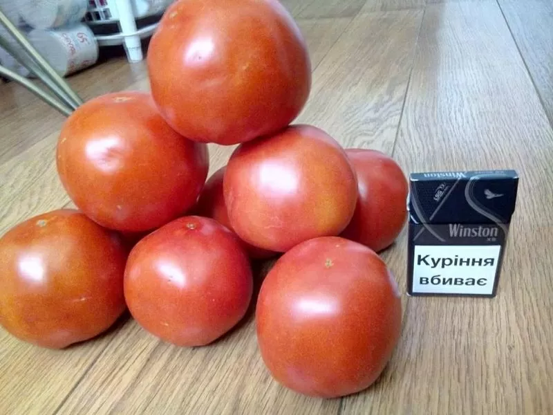 Продам помидор - Багира (грунтовой) 2