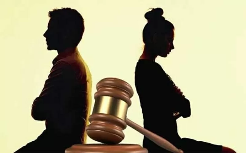 Адвокат по семейным делам Виноградарь. Развод через суд 3