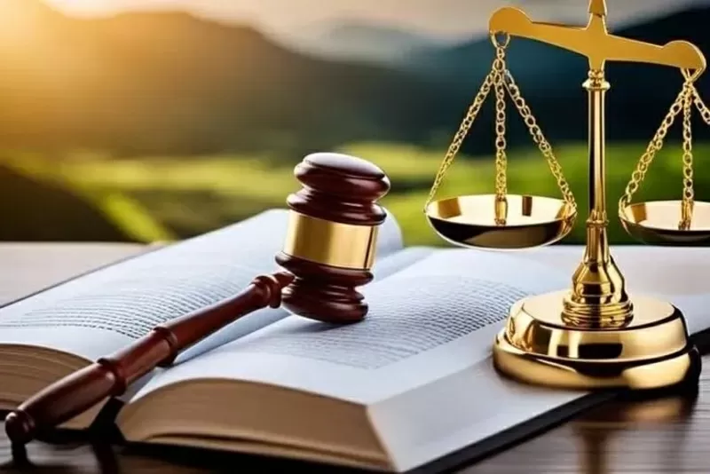Юрист у Києві район Виноградар. Консультації та правова допомога 3