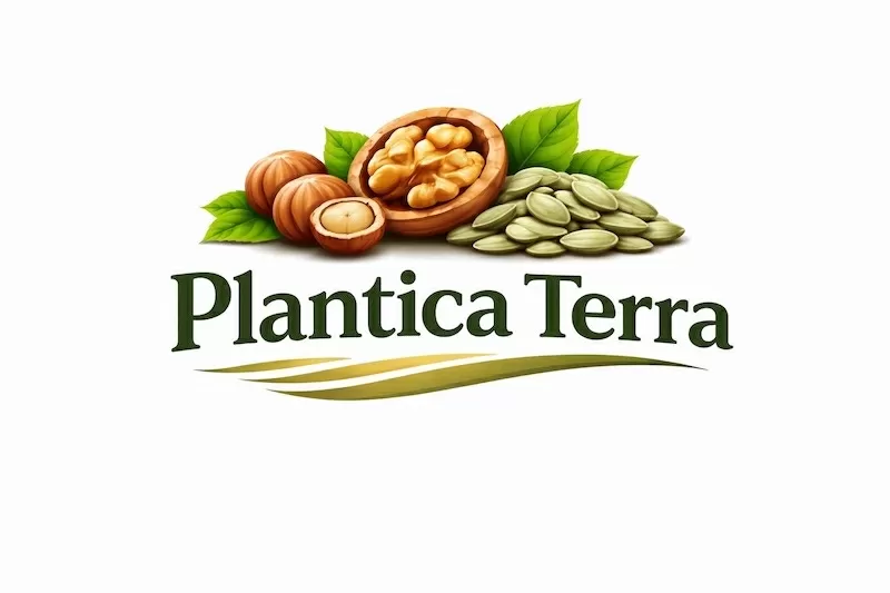 Стабільний постачальник волоського горіха та фундука Plantica Terra
