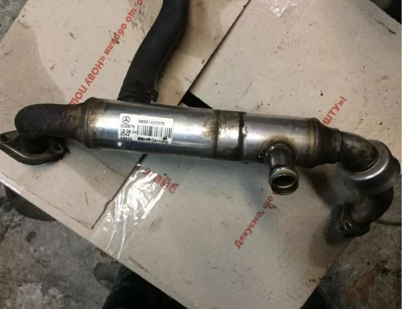 Б/у охладитель выхлопных газов A6391400375 Mitsubishi Colt,  Smart ForFour, 1.5cdi