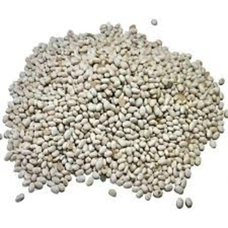 Насіння квасолі Червона Шапочка,  Неві Бінс,  Ред Кідні,  Пінто